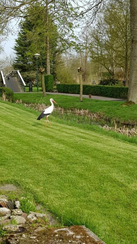 Farmhouse Lodge Giethoorn Exteriör bild